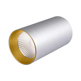 Светильник накладной SP-POLO-R85-1-15W Day White 40deg (Silver, Gold Ring) (Arlight, IP20 Металл, 3 года) с гарантией 